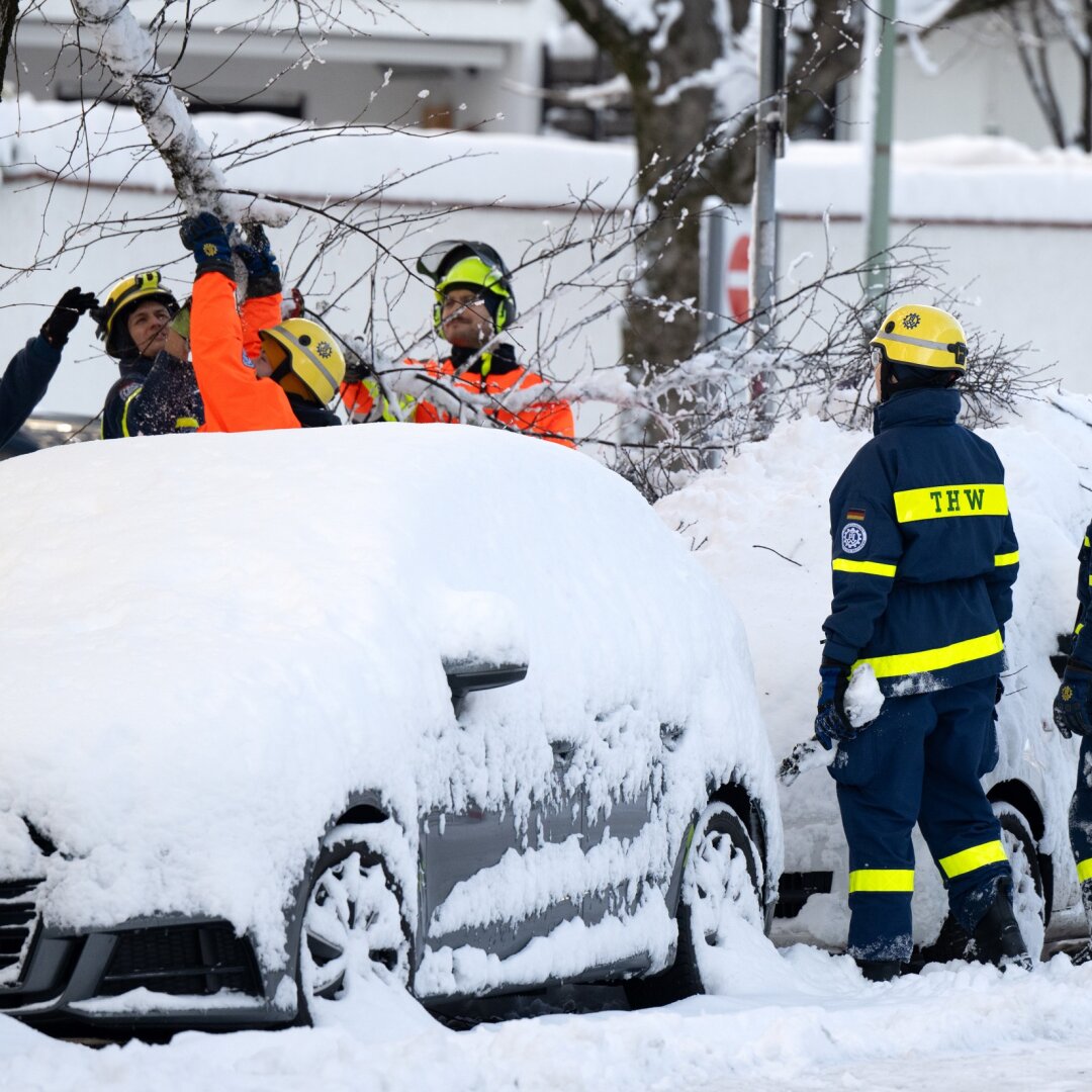 Einsatzkräfte des Technischen Hilfswerks (THW) kontrollieren in einer Straße durch die Schneelast beschädigte Bäume.